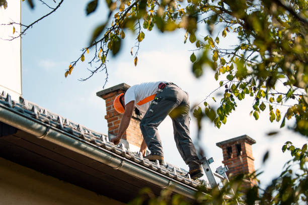 Best Roof Leak Repair  in South Whitley, IN