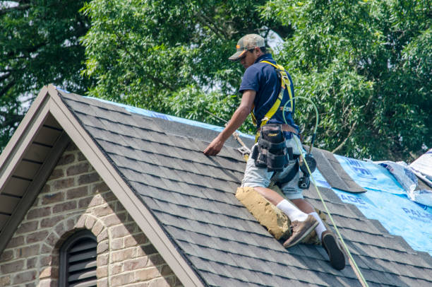 Best Local Roofing Companies  in South Whitley, IN